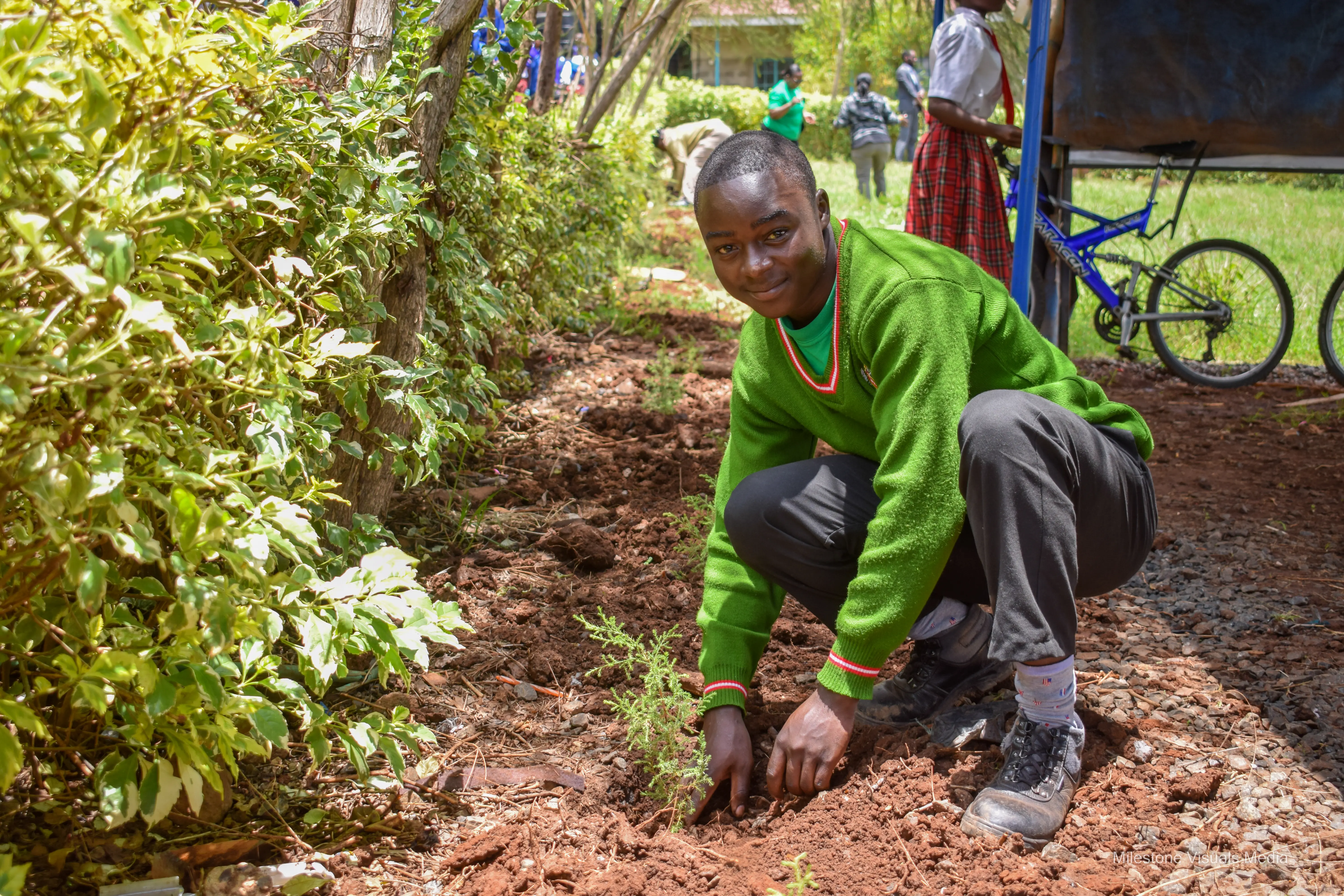 Student planting